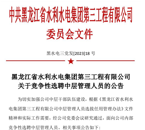 關于競爭性選聘中層管理人員的公告
